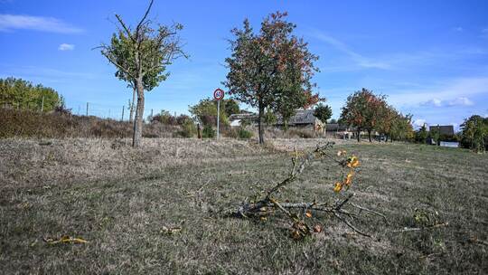 Kleinflugzeug im Landkreis Heilbronn abgestürzt Kleinflugzeug im Landkreis Heilbronn abgestürzt