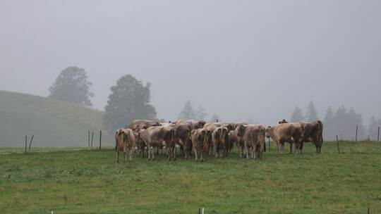 Wetter in Bayern Wetter in Bayern