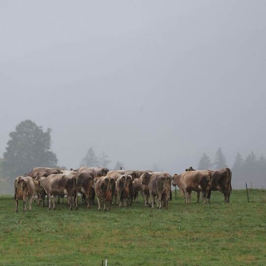 Wetter in Bayern
