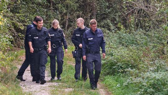 Polizei sucht mutmaßlichen Puma in Bayern Polizei sucht mutmaßlichen Puma in Bayern