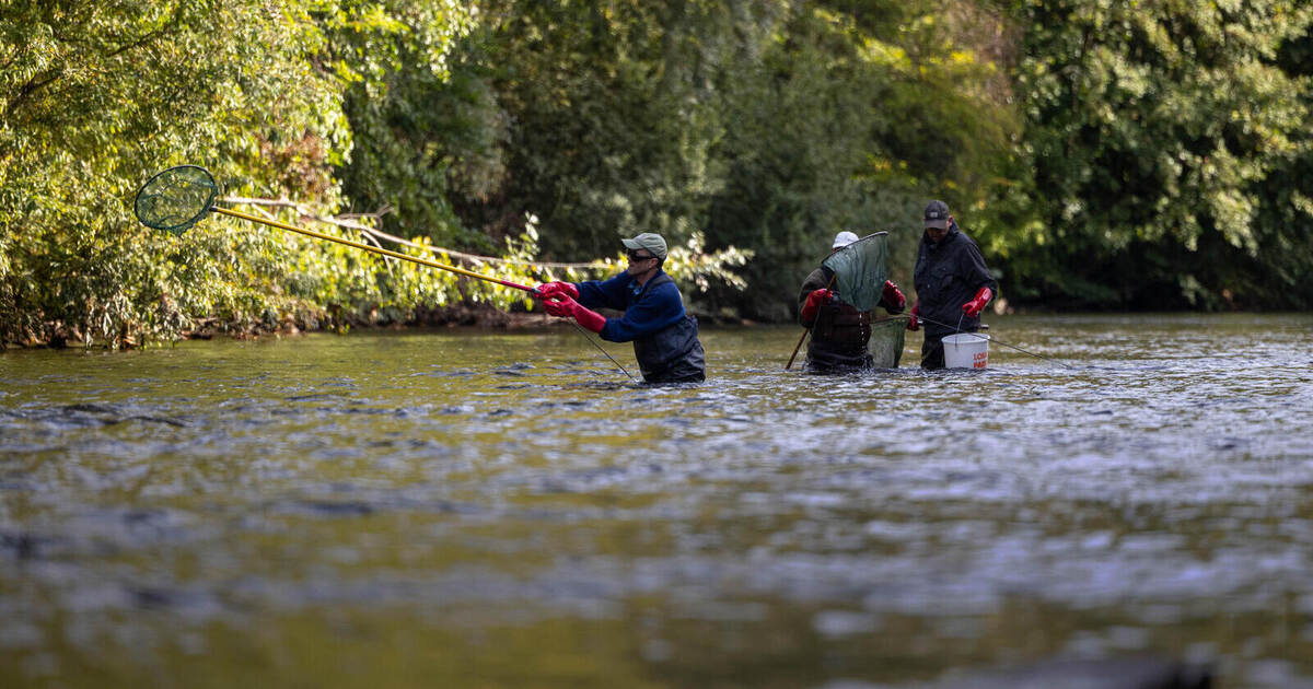 Noses in the net? Pforzheim fishing club's hopes dashed.
