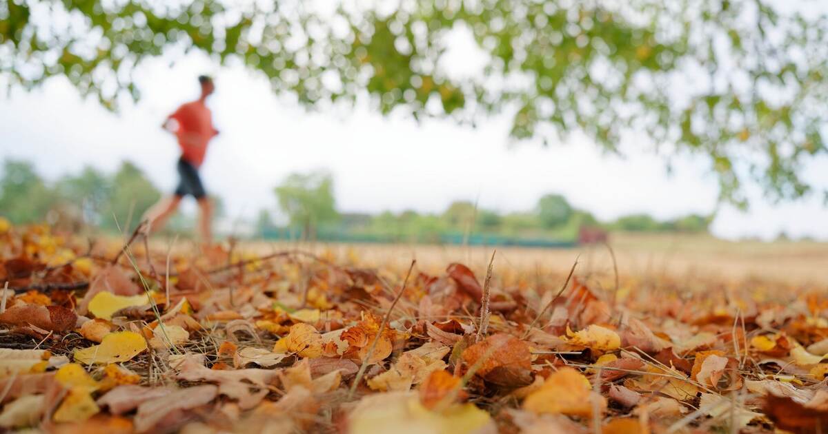 Rain this weekend - | when and where it will stay dry for longer