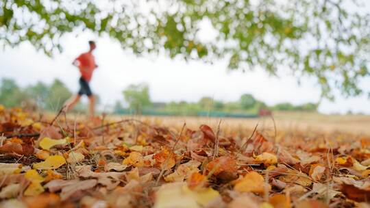 Wetter in Baden-Württemberg