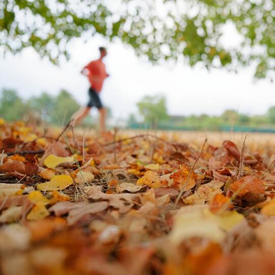 Wetter in Baden-Württemberg