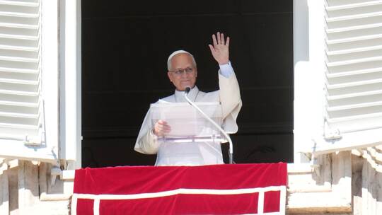 Papst Leo XIV. Papst Leo XIV.