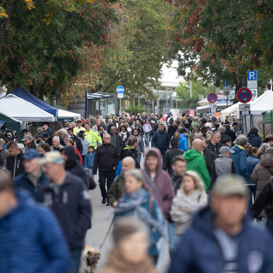 Herbstglühen Innenstadt