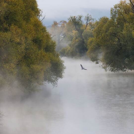 Herbst in Baden-Württemberg
