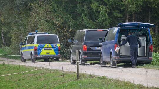 Polizei sucht mutmaßlichen Puma in Bayern Polizei sucht mutmaßlichen Puma in Bayern