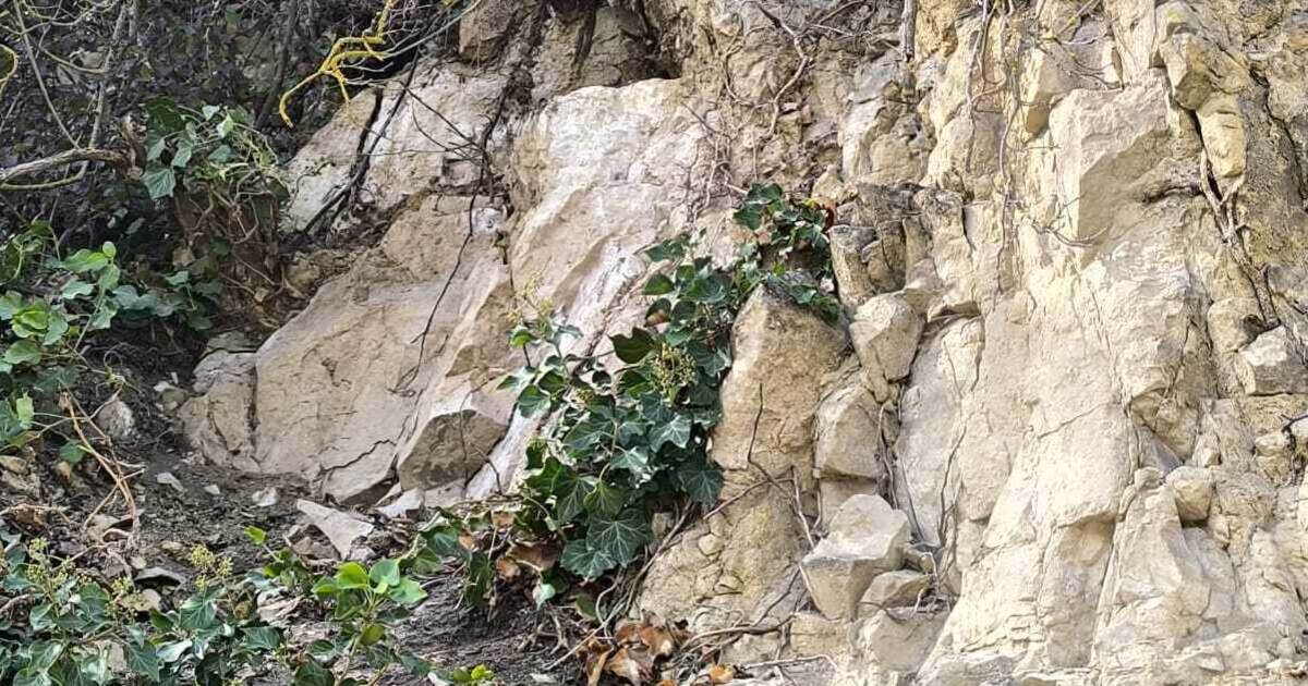 150-kilogram boulder crashes onto road: Mühlhäuser Steige partially closed