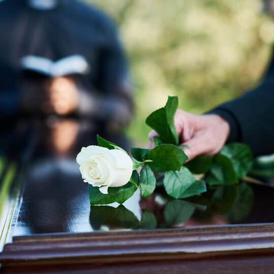 Fresh white rose being put by woman in mourning attire on closed coffin lid