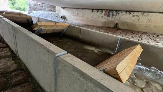 Einmalig in Baden-Württemberg: Unter der Brücke der Calwer Straße ermöglichen schräg gestellte Holzwände den Fischen den Aufstie