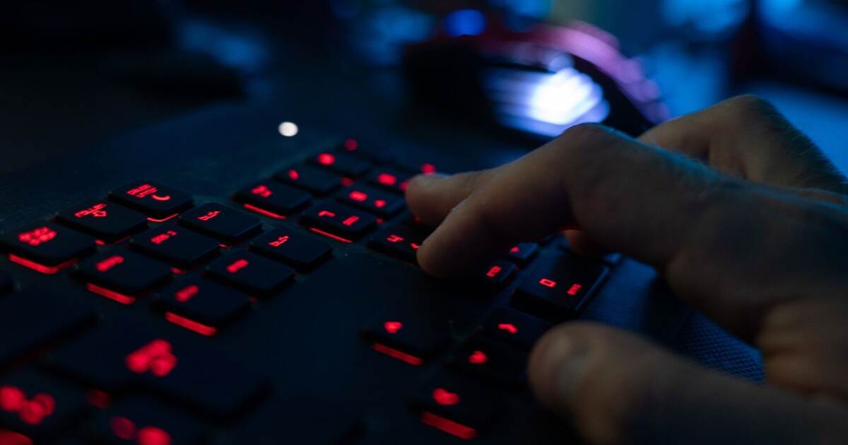 Cyberattack on universities: Educational institution in Pforzheim also ...