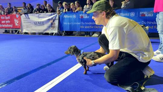 Hundemesse «DogWorld» mit Dackelrennen Hundemesse «DogWorld» mit Dackelrennen
