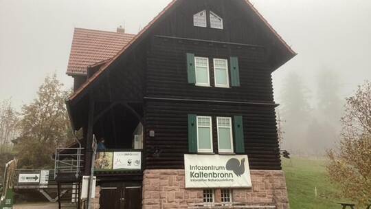 Trübe Aussichten am Kaltenbronn: Wegen schlechten Wetters musste der geplante Arbeitseinsatz zum Schutz des Auerhuhns abgesagt w