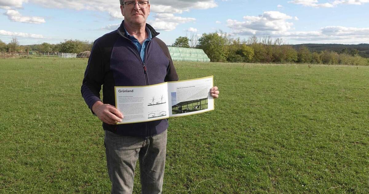 Farmer plans innovative solar plant on nine hectares in Wiernsheim
