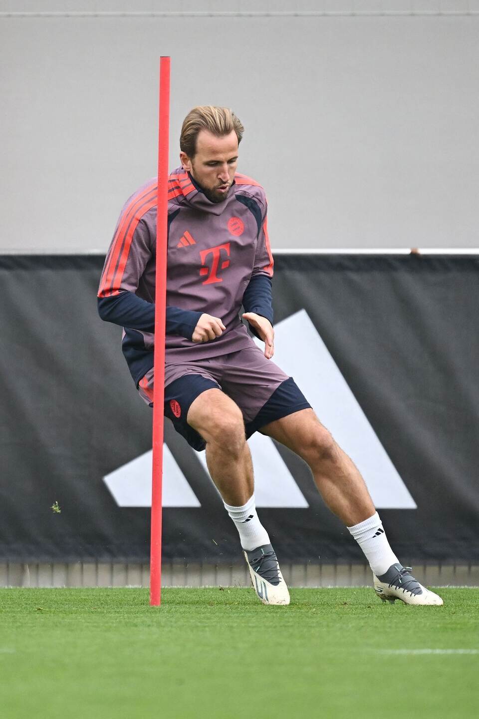 Abschlusstraining FC Bayern vor Champions League-Spiel Abschlusstraining FC Bayern vor Champions League-Spiel