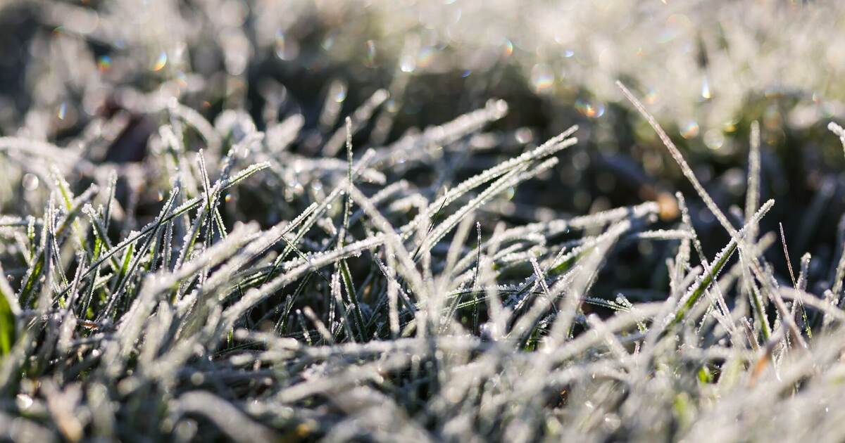 Schnee, Frost und bis 17 Grad - Wo zudem noch Sturm droht