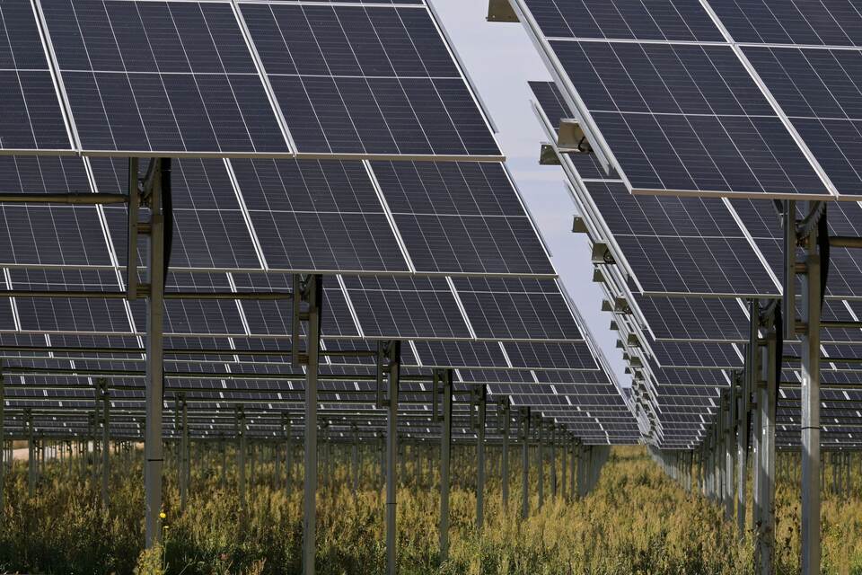 Agri-Photovoltaik-Anlage in Schönefeld Agri-Photovoltaik-Anlage in Schönefeld