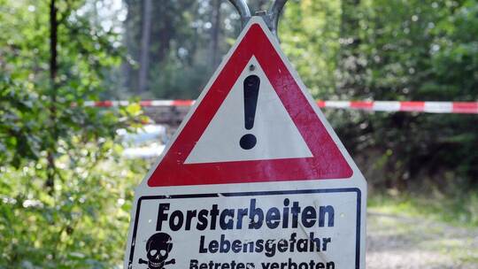 Wegen Holzeinschlag durch ForstBW wird das Würmer Sträßchen ab dem 2. November für gut zwei Monate gesperrt. Symbolfoto: Hendrik Forstarbeiten