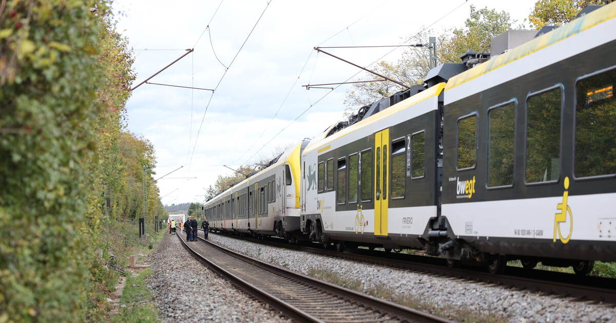 After Collision with a Tree Branch: Train Service Resumes Between ...