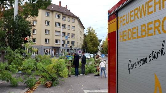 Sturmtief «Luise» - Heidelberg Sturmtief «Luise» - Heidelberg