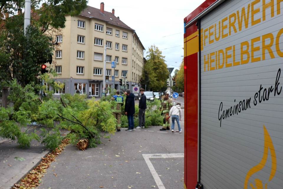 Sturmtief «Luise» - Heidelberg