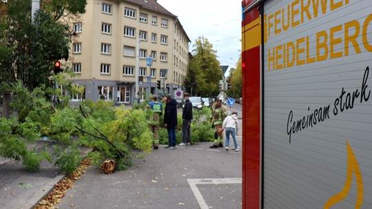 Sturmtief «Luise» - Heidelberg