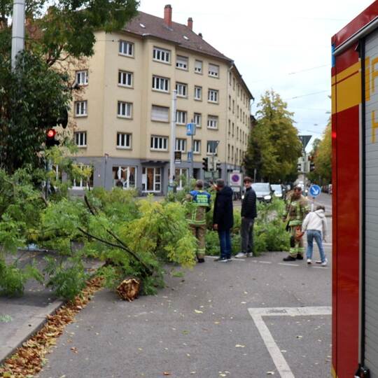 Sturmtief «Luise» - Heidelberg