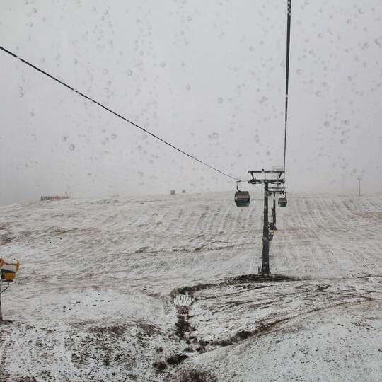 Schnee im Hochschwarzwald
