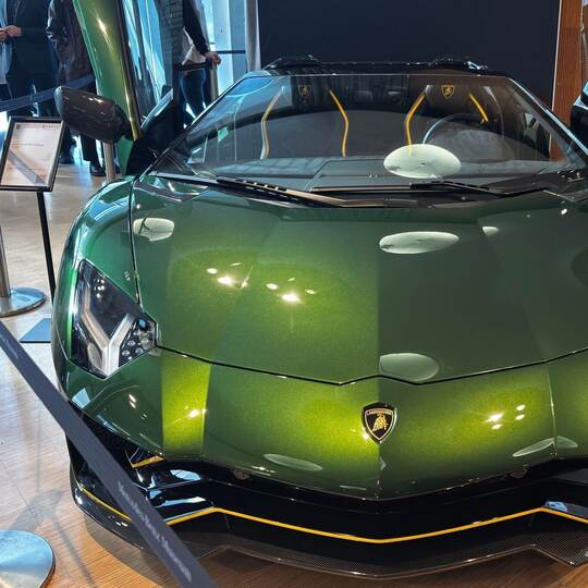 Justiz-Versteigerung von Luxus-Autos und Uhren