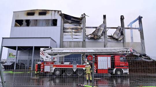 Millionenschaden bei Feuer in Gemüsebetrieb