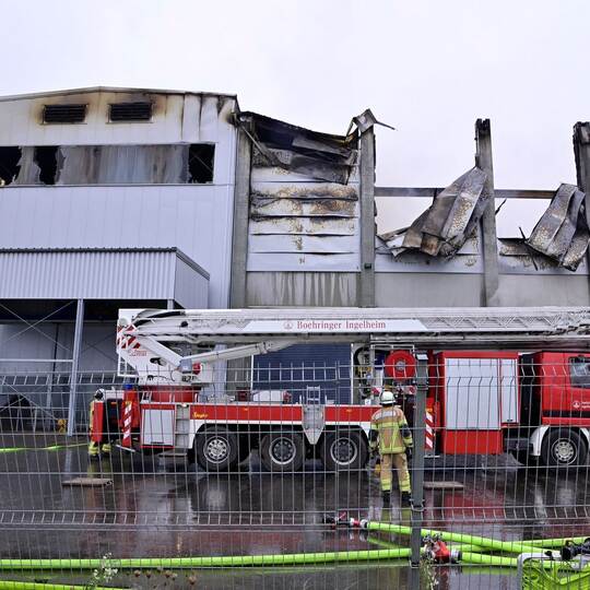 Millionenschaden bei Feuer in Gemüsebetrieb