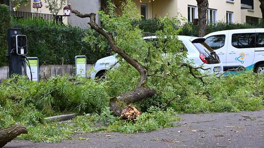 Sturm in Baden-Württemberg Sturm in Baden-Württemberg