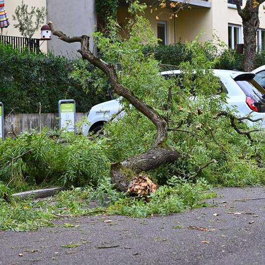 Sturm in Baden-Württemberg