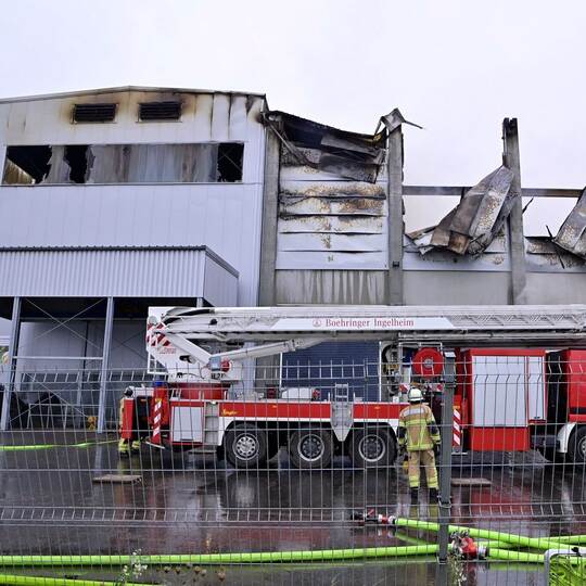 Millionenschaden bei Feuer in Gemüsebetrieb