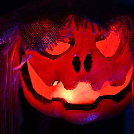 Halloween Halloween