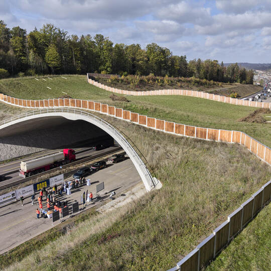 Grünbrücke Hagenschieß über die Autobahn A8 bei Niefern