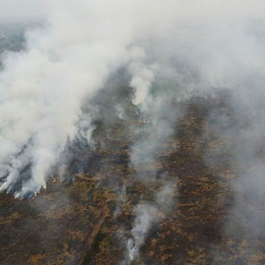 Waldbrände in Indonesien