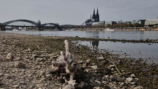 Niedrigwasser am Rhein in Köln Niedrigwasser am Rhein in Köln