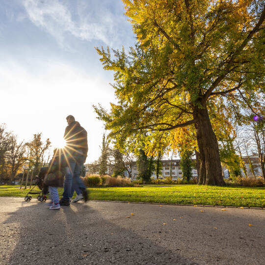 Herbst Schmucki Stadtgarten