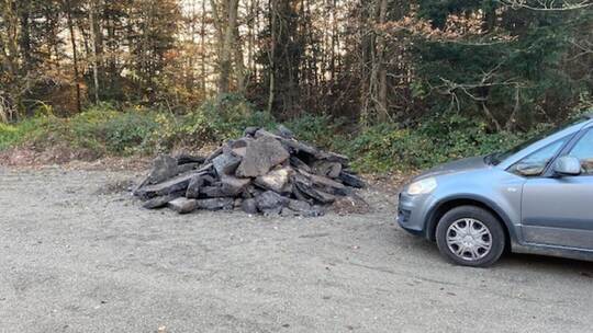Kein Einzelfall: Bereits vor längerer Zeit wurde in einem Wald bei Tiefenbronn illegal Bauschutt abgeladen. Liebl