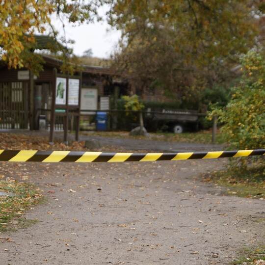 Wolf soll Kind im Wildpark Johannismühle angegriffen haben