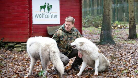Wolfcenter Dörverden Wolfcenter Dörverden