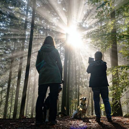 Wetter in Baden-Württemberg