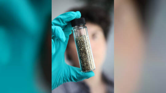 Lka Warnt Vor Neuen Psychoaktiven Substanzen www.pz-news.de