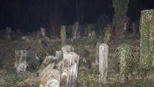 Nicht zum ersten Mal ist ein jüdischer Friedhof im Elsass geschändet worden. Foto: Oliver Dietze