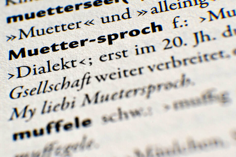 MundartSlam Schwaben und Badener wetteifern im Dialekt Baden