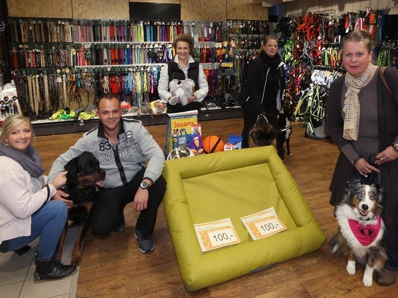 Hundeleben Pforzheim