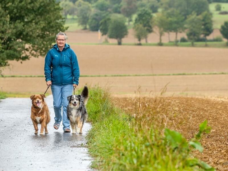 Gift auf Gassistrecken zwei Hunde bereits gestorben Region