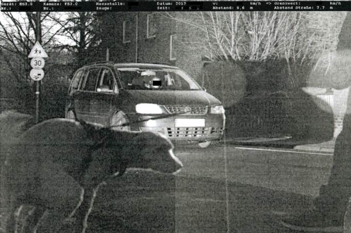 Das Foto zeigt einen Hund, der ausgerechnet Gassi gehen unfreiwillig auf dem Radarfoto eines «geblitzten» Autofahrers gelandet ist.